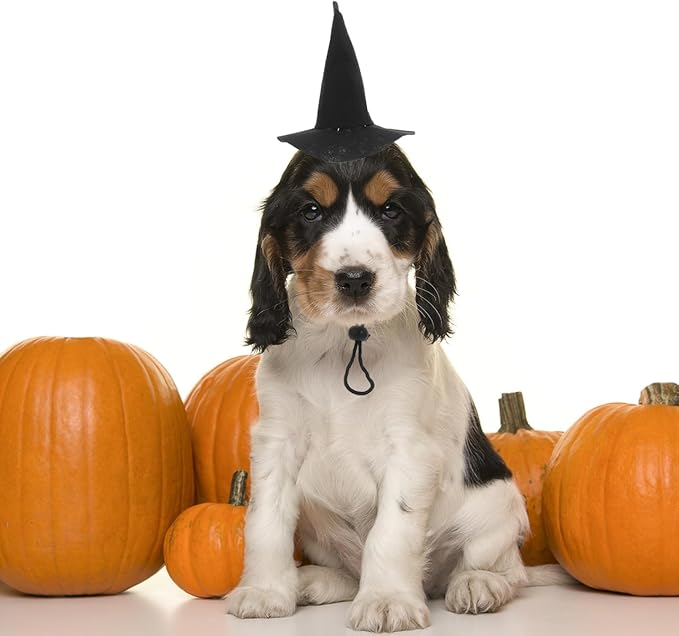BESTOYARD Halloween Pet Hat Witch Hat for Dogs and Cats Adjustable Pet Headwear Reusable Washable Halloween Costume Accessory for Pets Party Cosplay