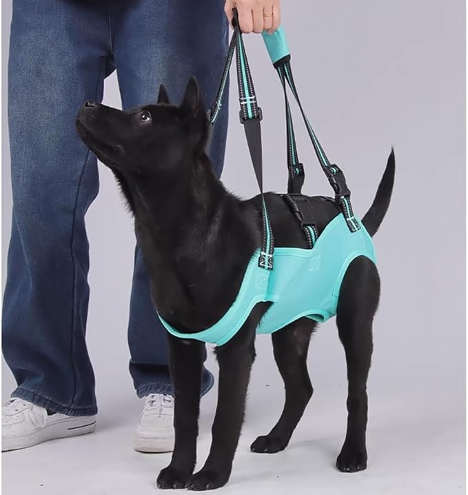 Senior Dog Mobility Harness - Full Body Lifting Sling with Adjustable Shoulder Straps and Breathable Mesh Lining for Hip Dysplasia and IVDD Recovery Support