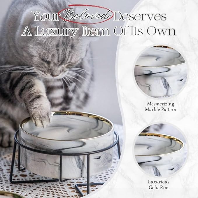 Dazzling Ceramic Elevated Cat Bowls, Raised Dog Pet Cat Food Water Bowl for Indoor (Grey, Large)
