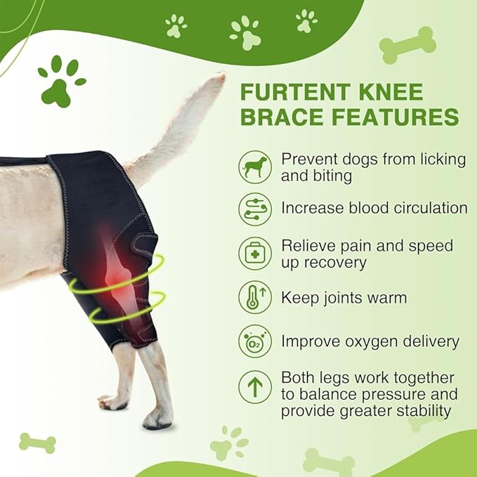 Dog Hip Brace, Dysplasia Brace for Dogs, Mild Torn ACL Leg Support, Adjustable Dog Leg Brace, Breathable, for Arthritis, Stiffness & Swelling, Knee Instability & Mobility Comfort, senior mobility (XL)