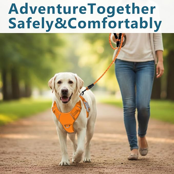 BARKBAY Dog Harness No Pull Oxford with ID Tag Pocket - Heavy Duty, Reflective, Easy Control for Large Dogs(Pumpkin Oxford,XL)
