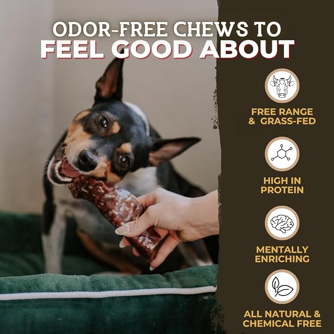 Bully Bunches Beef Jerky Strips - All-Natural Dental Chews for Dogs of All Ages | Fully Digestible & Soft on Teeth -Made from Single Ingredient Beef Esophagus/Gullet (12 Inch, 18 Pack)