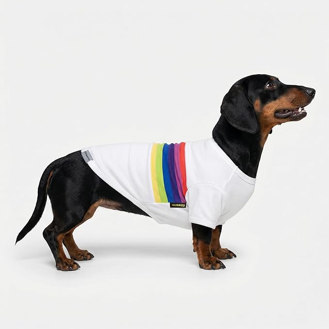 Fitwarm 3 Pack Rainbow Striped Dog Shirt, Dog Summer Clothes for Small Dogs Boy Girl, Breathable Lightweight Pet Tshirt with Sleeves, Cat Outfit, White, Black, Multicolored, XXL