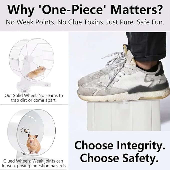 8.7" Super Silent Hamster Wheel for Hamster Exercise Wheel for Gerbil, Syrian & Dwarf, Chinchilla and More Small Anima Running Wheels with Stable Stand, Clear