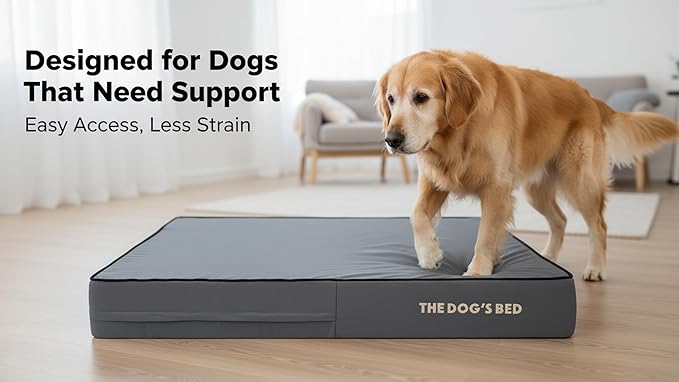 The Dog’s Bed Orthopedic Memory Foam Dog Bed for XXL Dogs, Waterproof Washable Cover, Anti-Slip Base, Calming Surface – CertiPUR-Certified Foam, Grey with Black Trim, 6 Inch Thick