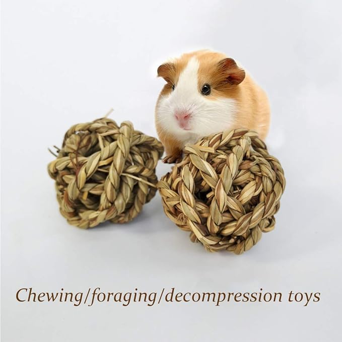 Hamiledyi 15PCS Rabbit Grass Balls 2.8in Large Guinea Pig Balls Small Animal Activity Enrichment Toy for Bunny Chinchilla Hamster Gerbil Grinding Playing