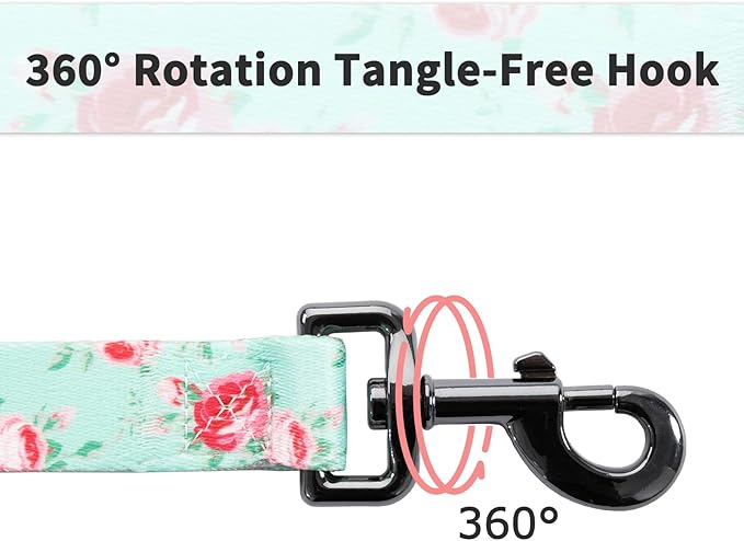 Ihoming Puppy Collar and Leash Set for Daily Outdoor Walking Running Training, Floral Spring Design for Extra Small Boys Girls Dogs Cats Pets, XS-Up to 10LBS