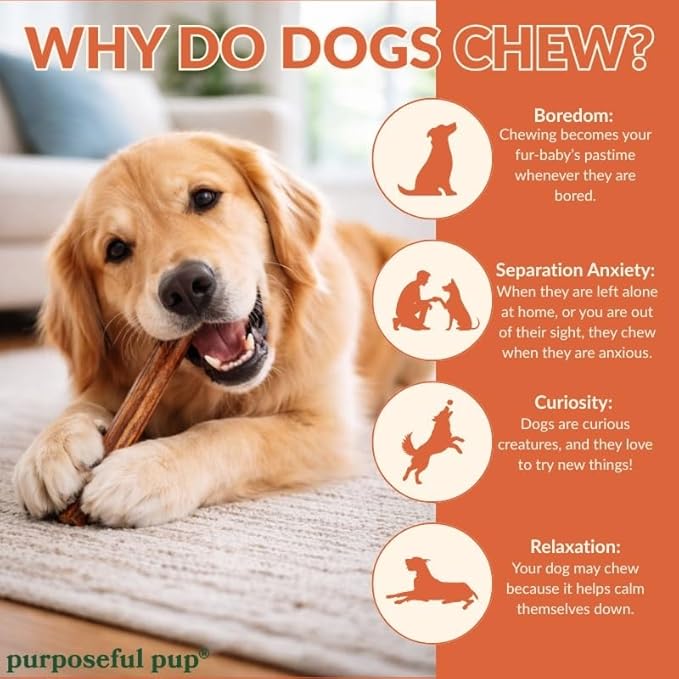 Bully Stick Dog Treats | Single-Ingredient Beef Chews | Long-Lasting Natural Dog Treats | Tough Chewers | Medium to Large Dogs