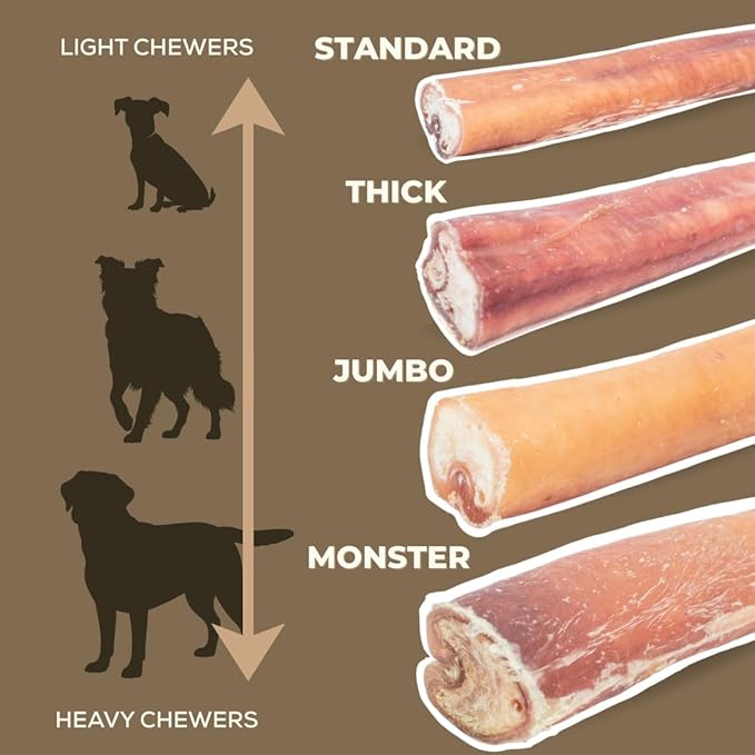 Bully Bunches Premium 12" Standard Odor-Free Bully Sticks for Medium & Large Dogs - Consistently Sized, Long-Lasting, Natural, Single-Ingredient 100% Beef Chews for Oral Health (10-Pack) Made in USA