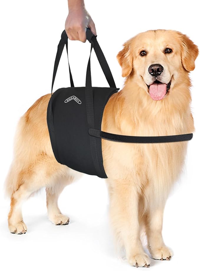 Walkabelly Support Sling, Easy-to-Use Belly Harness for Daily Mobility, Stop Straining to Lift Your Pet, Quick-Lift Original Design by Walkabout Harnesses (MedLarge Walkabelly)