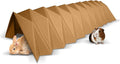 BinkyBunny Tunnel Haven