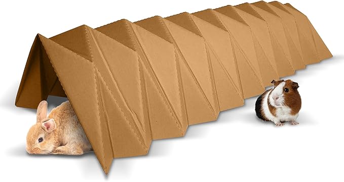 BinkyBunny Tunnel Haven