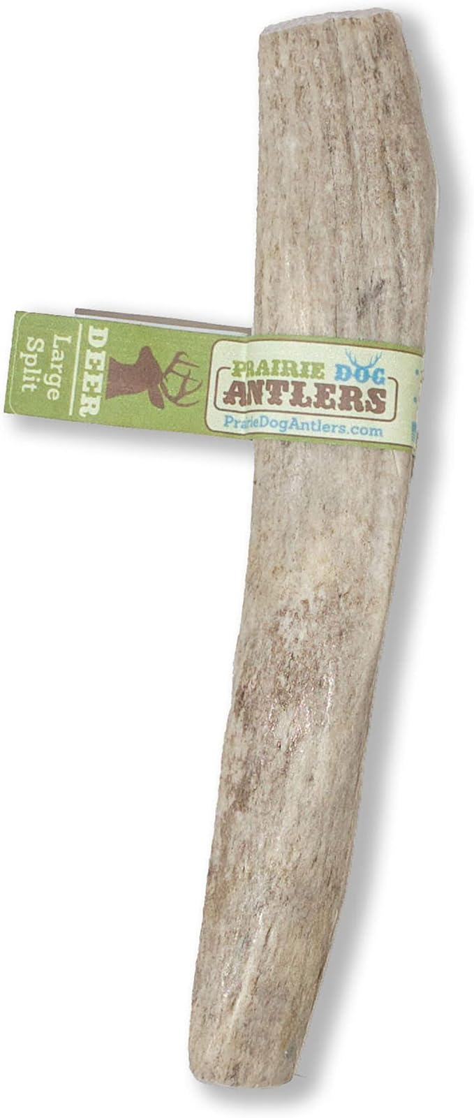 Prairie Dog Antlers | North American Split Antler | Large | Naturally Shed | Hand Harvested | Nutrient Rich | 6-7.5 inches long