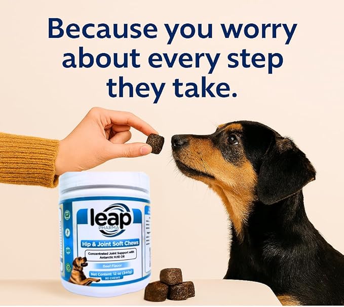 Dogs Suplements Hip & Joint - Krill Oil and Glucosamine Soft Chews, Joint Supplement for Dogs with Krill Oil,Glucosamine, Chondroitin, MSM, Turmeric, Anti Inflammatory, Mobility (Beef 90ct)