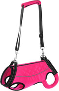 Dog Lift Harness for Small Dogs Full Body Support Sling for Back Legs, Pet Rehabilitation Lifts Vest Adjustable Straps for Small Dogs Hind Leg, Dog Carrier for Senior Dogs Joint Injuries,Walk Pink M