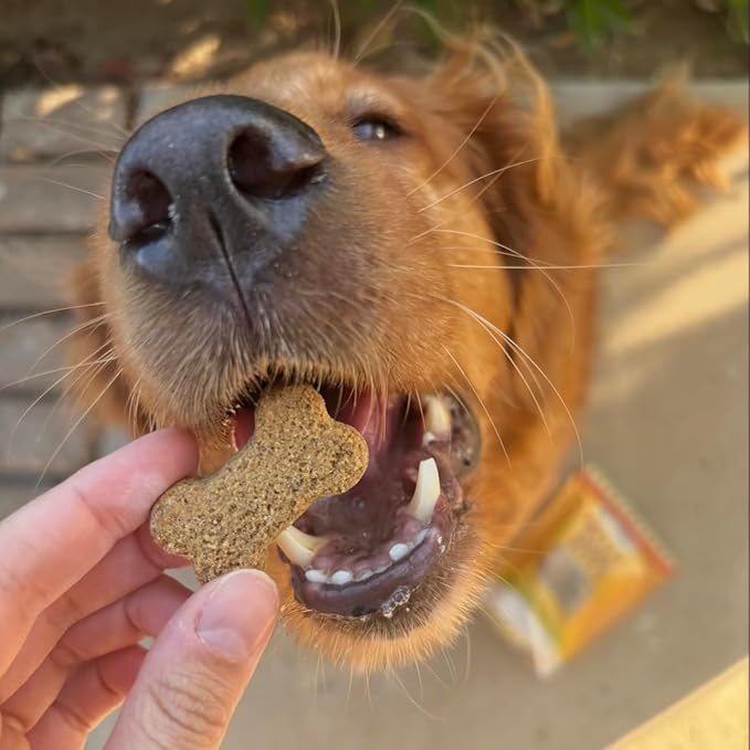 TerraPawz Vegan Dog Training Treats – Peanut Butter Flavor, Plant-Based Nutty Bark Bites with Chia & Flaxseed for Skin & Coat, Omega-Rich Treats for All Dog Sizes Including Large Breeds (8 oz)