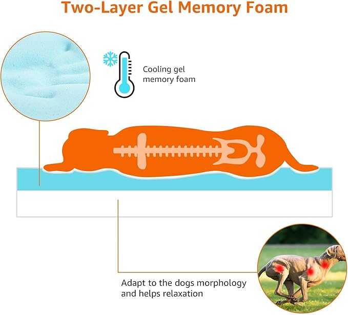 Amazon Basics Washable Dog Bed with Cooling Gel Memory Foam, Pressure-Relief Support for Dogs up to 50lbs, Non-Slip Bottom, Removable Cover, Large (35" x 22"), Grey