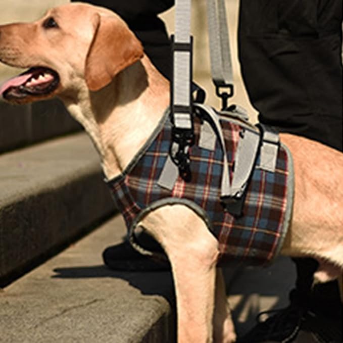 Dog Lift Harness, Adjustable Rear Leg Support Sling with Breathable Polyester, Mobility Aid for Disabled and Senior Dogs (L (20‑30kg / 44.1‑66.1lb Recommended))