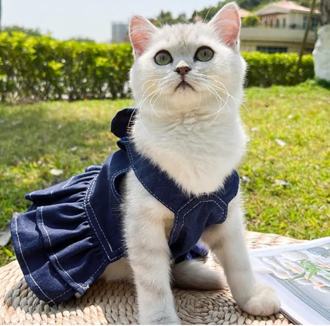 ANIAC Denim Dog Dresses for Small Dogs Puppy Girl Clothes with Leash Ring and Cute Bow Knot Summer Cat Apparel with D-Ring Blue Girl Dog Clothes (DAR Blue,Large)
