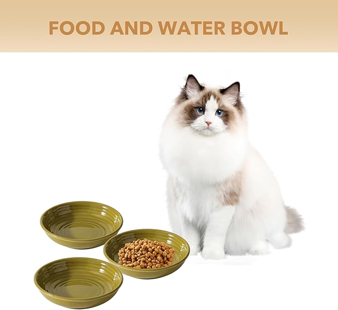 Havniva Ceramic Wide Whisker Friendly Cat Dishes, Set of 3 Ceramic Cat Bowls, Anti-Slip Indoor Kitten Feeding Food& Water Dish to Prevent Whisker Fatigue(3 Pcs, Matcha Green)