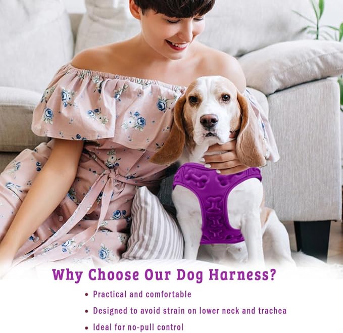 Comfort Fit All Weather Dog Harness No Pull Soft Padded Extra Comfort Step in Dog Harness with Adjustable Buckles Easy Control Vest Harness for Small Medium Large Dogs Inside Velvet Plush