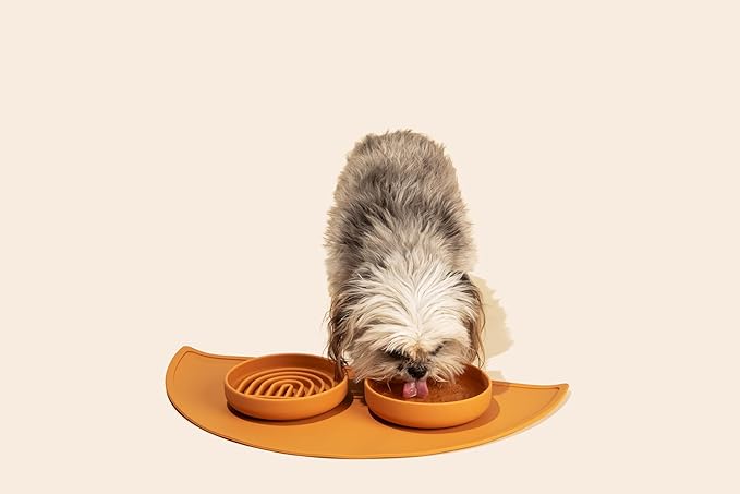 Should We Go? Dog Water Bowl - The Perfect Dish No-Spill, Less Mess Non-Tippable Water & Food Bowl, Pure Silicone with Suction Cup, Fits 2 Cups 6” Across x 1.25” Tall, Ideal for All Pets, Small-Sage