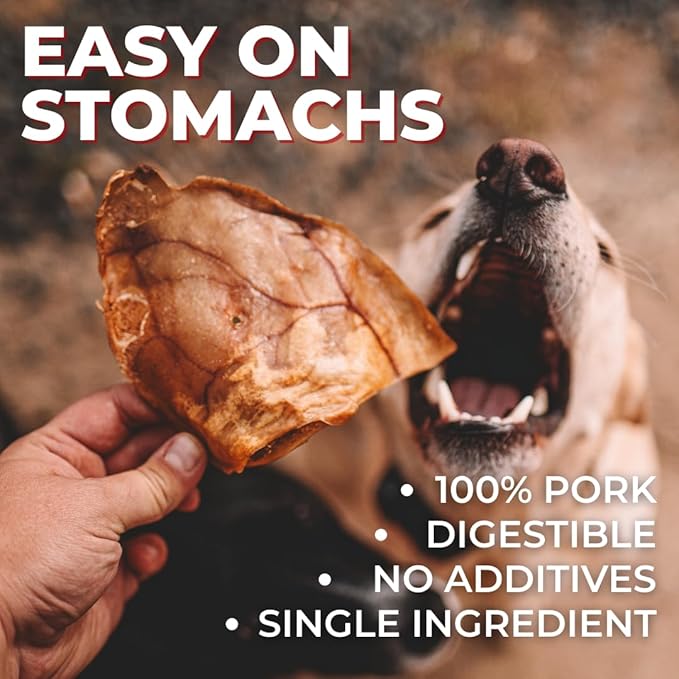 Bully Bunches Large Whole Pig Ears for Dogs | Free Range Oven Baked Pork for All Breeds | All-Natural, Single Ingredient & 100% Digestible Safe Dog Chew - Multipack (20 Pack)