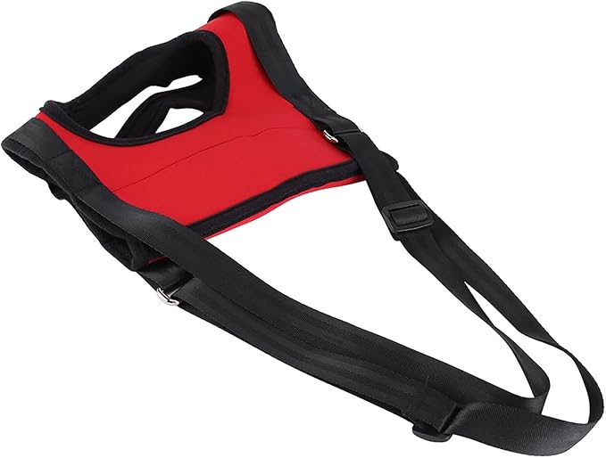 Pet Walking Aid, Rear Dog Leg Support Harness Walking Aid Lifting Pulling Vest for Old Injured Dogs (Red hind Legs L)
