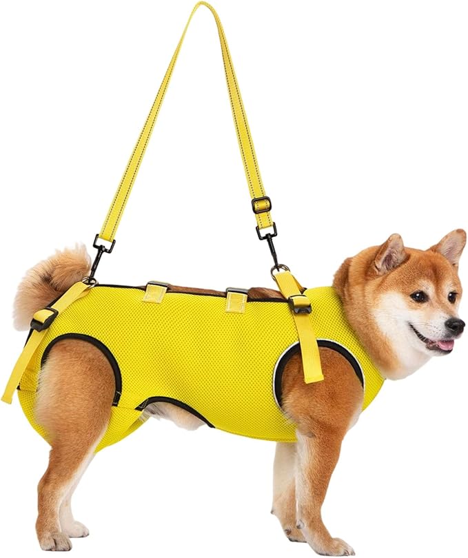 Adjustable Dog Harness for Elderly Pet with Padded Belt and Breathable Design Disabled Lift Slings Rehabilitation Harness
