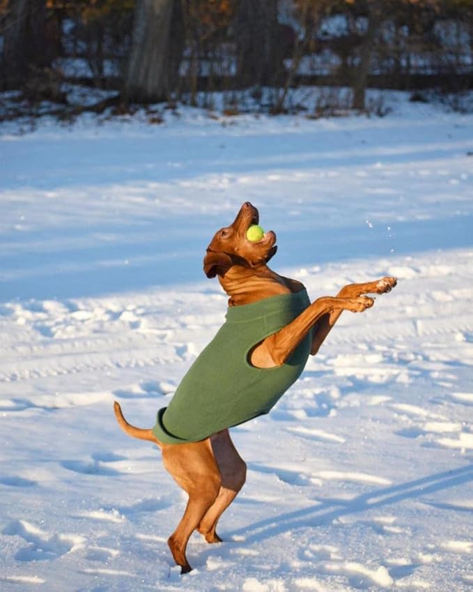 Gooby - Stretch Fleece Vest, Pullover Fleece Vest Jacket Sweater for Dogs, Gray, 6X-Large Length (27")
