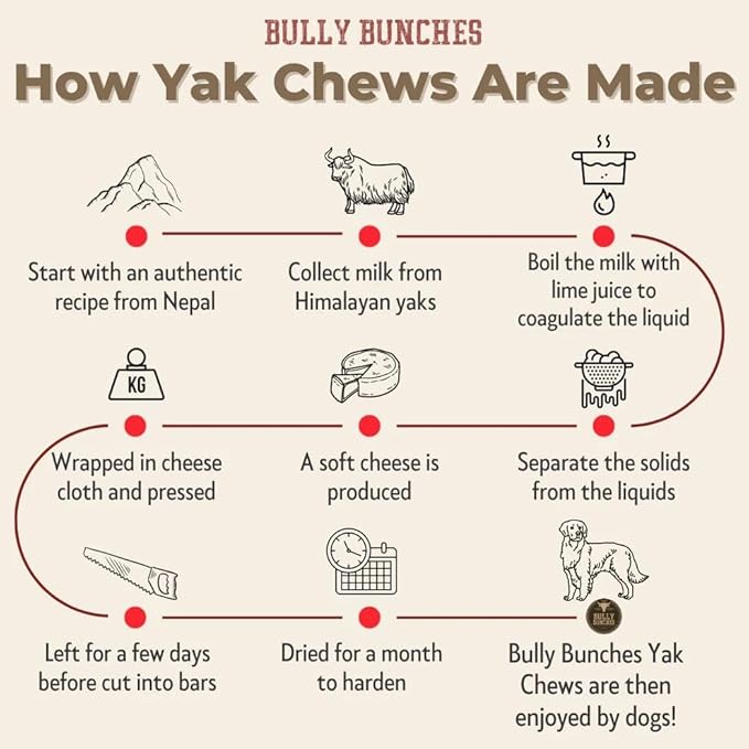 Bully Bunches Large Authentic Yak Cheese Himalayan Chews for Large Dogs & Heavy Chewers - All Natural Dog Treat Dental Chews, Made with Real Yak Milk - Lactose & Rawhide Free (2 Pk)