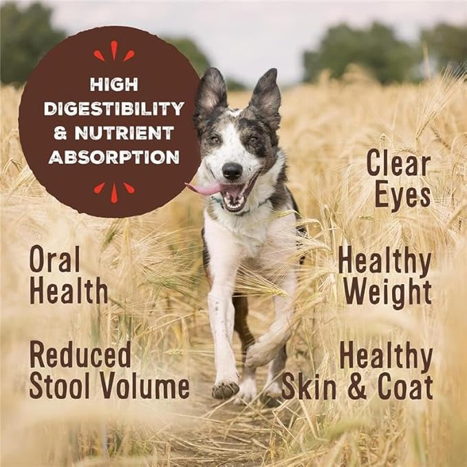Primal Freeze Dried Dog Food, Pronto Mini Nuggets, Lamb; Scoop & Serve, Complete & Balanced Meal; Also Use as Topper or Treat; Premium, Healthy, Grain Free, High Protein Raw Dog Food 16 oz (Pack of 2)