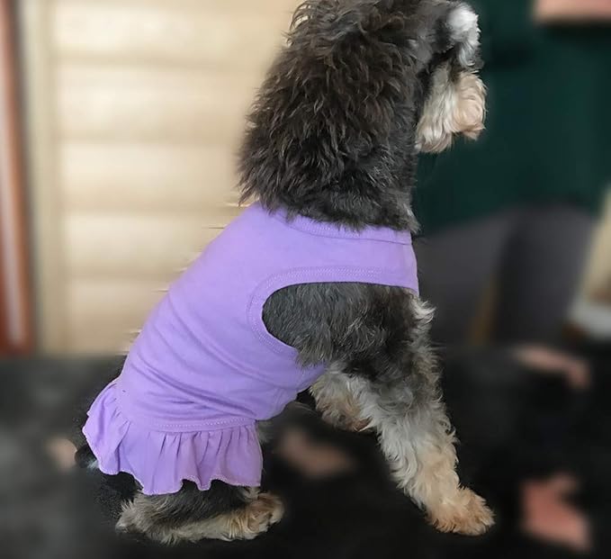 Pet Clothes Small Dog Clothing Blank Color Sport Dress T-Shirts Tee Dresses Tanks Top for Small Size Female Dogs Summer Spring Pet Costumes 100% Cotton (M, Violet)
