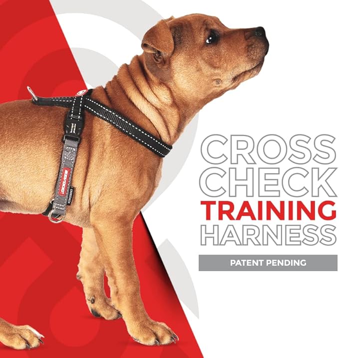 EzyDog Crosscheck No Pull Dog Training Harness – 2-in-1 Escape Proof Reflective Dog Harness for Easy Controlled Walks (S, Black)