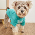 Cute Dog Clothes, T Shirt for Medium and Small Dogs Girl Boy,Puppy.Breathable Soft Dog Costume for Pet Dogs Cats, Pet Pullover Jumper, Cat Clothes (XXL-(19~23lb), Chest~21.5", Aqua)