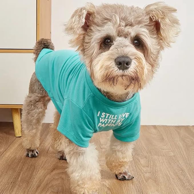 Cute Dog Clothes, T Shirt for Medium and Small Dogs Girl Boy,Puppy.Breathable Soft Dog Costume for Pet Dogs Cats, Pet Pullover Jumper, Cat Clothes (XL-(16~20lb), Chest~20", Aqua)