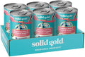 Solid Gold Sensitive Stomach Wet Dog Food for Adult & Senior Dogs - Grain Free Wet Dog Food w/Real Chicken, Salmon, Probiotics & Superfoods for Gut Health & Sensitive Stomach Support -6ct 12.5oz Cans