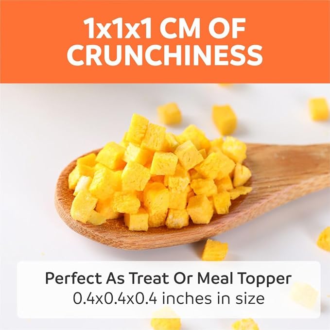 Pumpkin Treats for Dogs Digestion 2oz - Freeze Dried Single Ingredient Treats/Topper, Reduce Dog Diarrhea and Scotting - Natural & Human Grade Pure Pumpkin for Dogs - Prebiotics & Fiber
