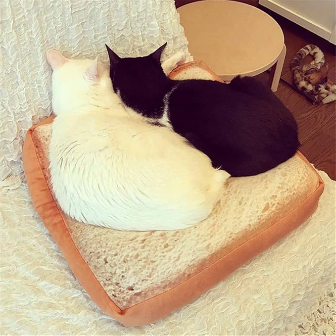 RemeeHi Comfortable Machine Top Pet Bed with Memory Foam and Zipper Removable Cover Sleeping Bed for Dog & Cat Toast（60x60x6.5cm）