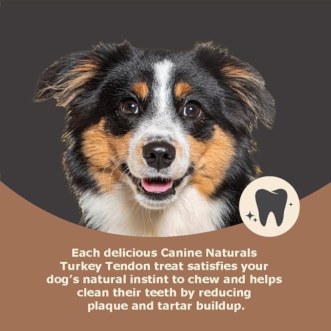 Canine Naturals Natural Turkey Tendon Strips - Slow Roasted Treats for Dogs - 3oz