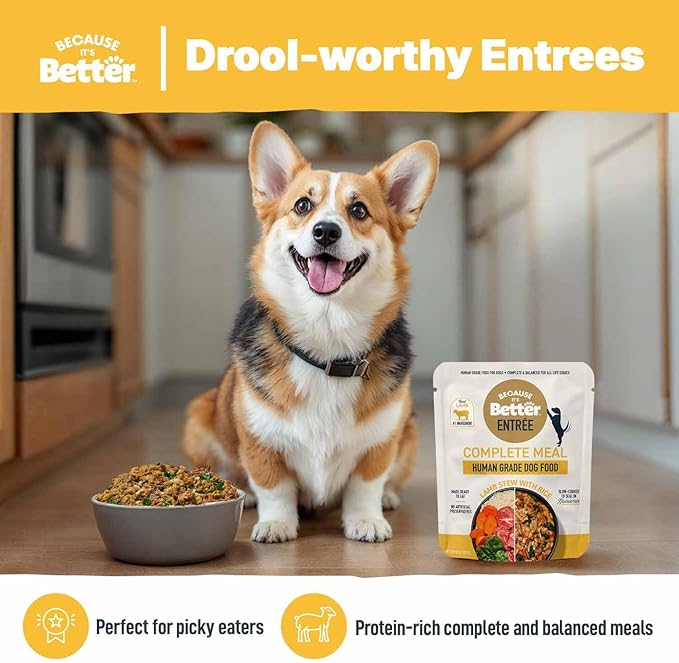Because It's Better Entrée Complete Meal, Lamb Stew with Rice, Human Grade Wet Dog Food, 10 oz Pouches, 6 Count