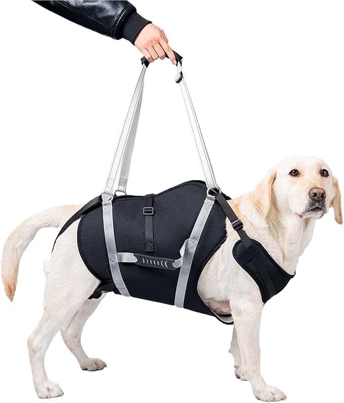 Dog Lift Harness for Senior & Injured Pets, Full Body Support Rehabilitation Dog Sling Carrier with Handles, Front/Rear Leg Assist for Arthritis, Hip Dysplasia & Post-Surgery Recovery XL