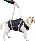 Dog Lift Harness for Senior & Injured Pets, Full Body Support Rehabilitation Dog Sling Carrier with Handles, Front/Rear Leg Assist for Arthritis, Hip Dysplasia & Post-Surgery Recovery XXL