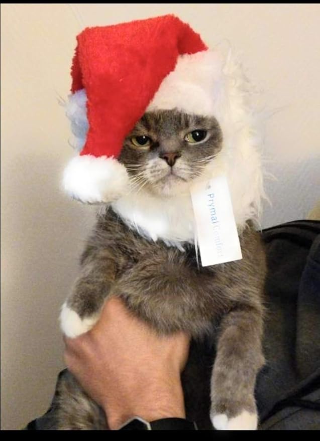 Santa Dog Cat Costume