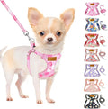 SlowTon No Pull Dog Harness with Leash - Soft Lightweight Floral Pattern Puppy Harness, Adjustable Pet Harness for Small Medium Dogs (Pink Strawberry, XXS)