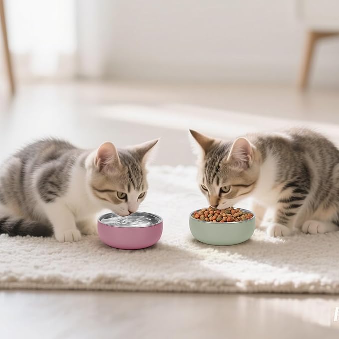 Kitten Bowls 2 Pack, Stainless Steel Cat Food and Water Bowl Set with Anti-Slip Silicone Bottom, 5 '' Wide Thick & Heavy Duty Metal Pet Dishes for Kittens, Cats and Puppies