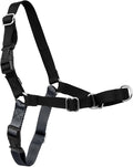 PetSafe Easy Walk Harness for Dogs - Pull-Free Walks - Patented Martingale Loop Design - Front Chest Leash Attachment - Comfort Straps - Breathable Harness Design - Medium/Large, Charcoal/Black