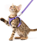 PUPTECK Cat Harness and Leash Set Escape Proof Reflective Cat Walking Harness Adjustable Soft Breathable Mesh Vest for Small Pets, Purple, XS