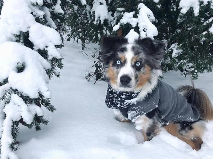 Gooby - Stretch Fleece Vest, Pullover Fleece Vest Jacket Sweater for Dogs, Gray, Small