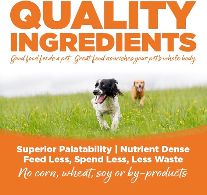 NutriSource Choice Dry Dog Food, Turkey Meal & Barley Recipe, 40 lb.